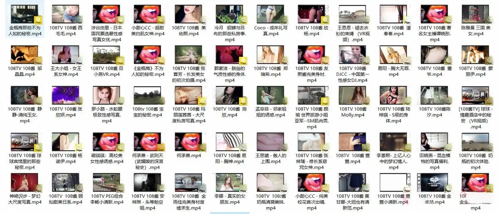 108TV酱 全套写真视频资源合集下载